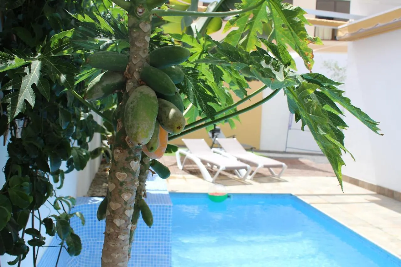 Casa El Olivo, Tenerife Valle de San Lorenzo Σπίτι διακοπών