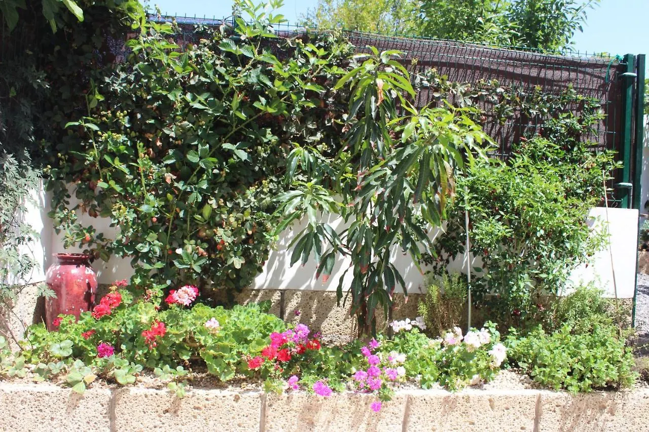 Casa El Olivo, Tenerife Valle de San Lorenzo Σπίτι διακοπών